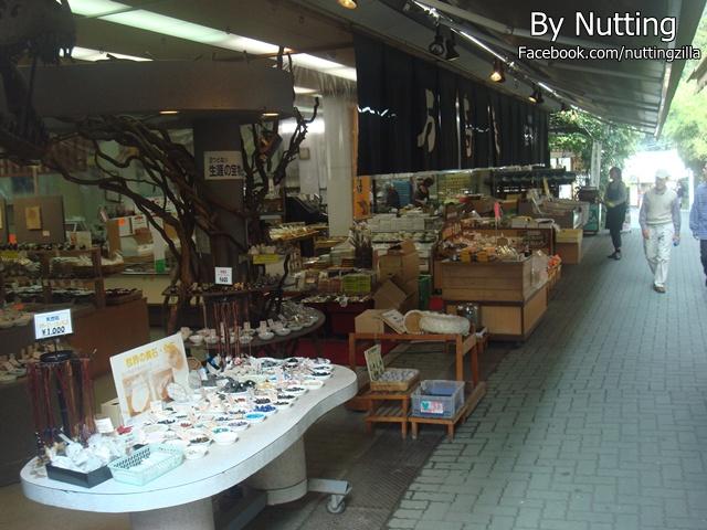 DSC03852.JPG